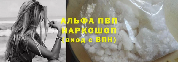 ПСИЛОЦИБИНОВЫЕ ГРИБЫ Сатка