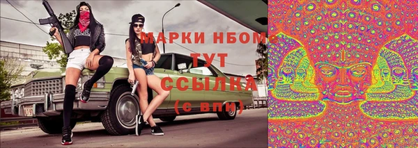 молекула духа Медвежьегорск