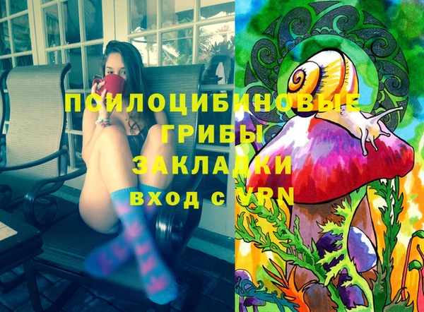 молекула духа Медвежьегорск